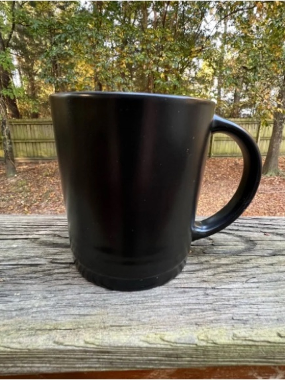 Dwell Studios Solid Black Heavy Ceramic Mug